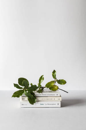 Estética Verde y Blanca de Ramas y Libros