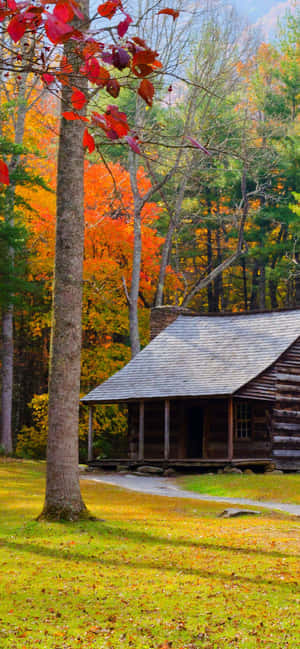 Fondo de otoño para iPhone Xs Max — Honor Play Fondos de pantalla