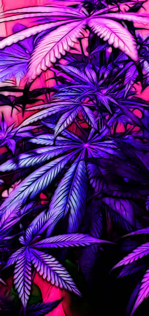 Imágenes de estética violeta — Realme C85 Pro Fondos de pantalla