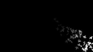 Imágenes estéticas en blanco y negro