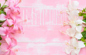 Fondo de flor rosa