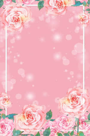 Fondo de flor rosa