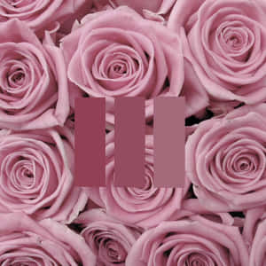 Imágenes estéticas rosas — Rosa claro estético Fondos de pantalla