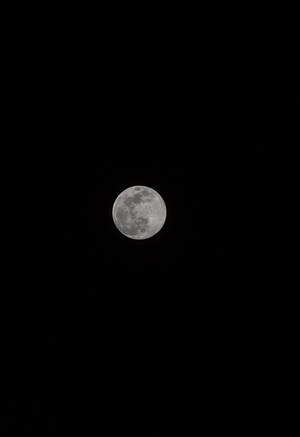 Luna llena brillando intensamente sobre el cielo negro de la medianoche. Vista de la luna y satélite.