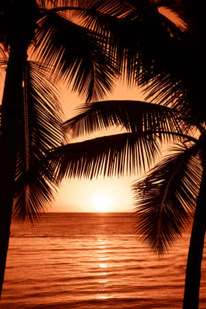 Fondo de atardecer en la playa — Atardecer en la playa Fondos de pantalla