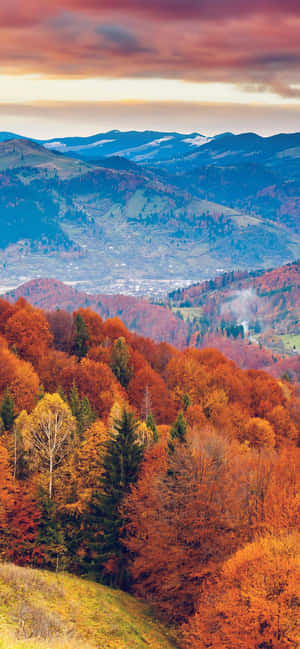 fondo de iPhone de Otoño — Galaxia A18 Fondos de pantalla
