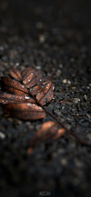 Fondo [Bronce] — Realme P4 Fondos de pantalla