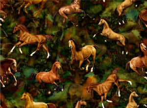 Imágenes de caballos lindos — Caballo lindo Fondos de pantalla