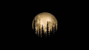 imágenes de luna llena — Luna Fondos de pantalla