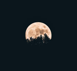 fotos de luna llena