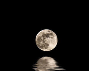imágenes de luna llena