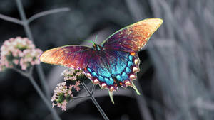 Pequeñas flores rosadas con una mariposa cola de golondrina azul púrpura posada, fondo de pantalla.