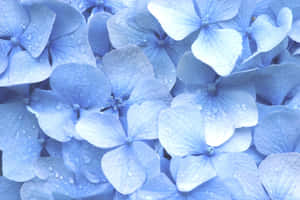 Fondo azul pastel