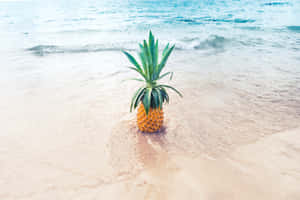 Fondo de Piña — MacBook Pro 14 Fondos de pantalla