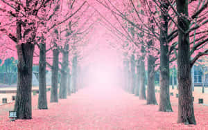 2880x1800 — 2880x1800 Fondos de pantalla
