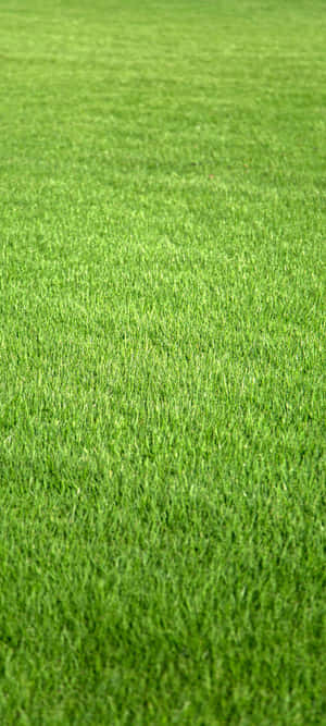 1080x2400 — Xiaomi Fondos de pantalla