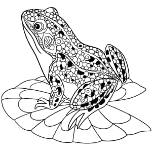 Imágenes de dibujo de rana — iPad Pro M4 Fondos de pantalla