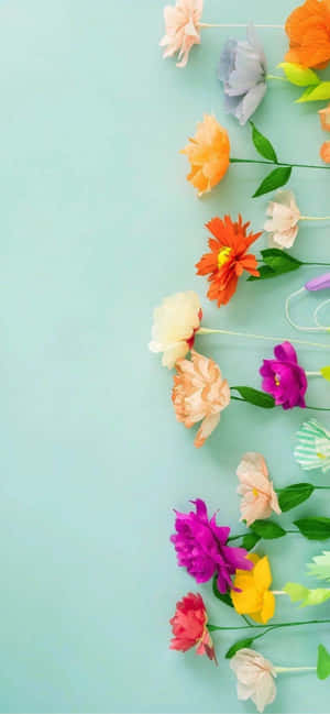 Flores iPhone — iPhone 14 Pro Fondos de pantalla