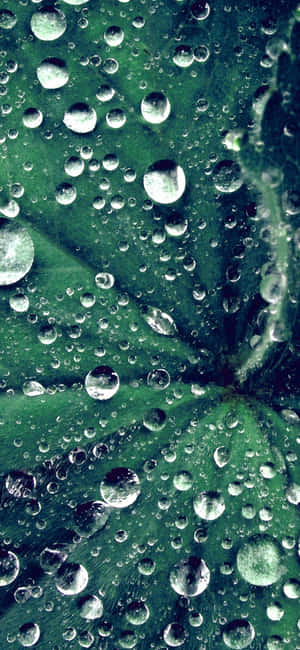 Imágenes de gotas de agua — Moto G47 Fondos de pantalla