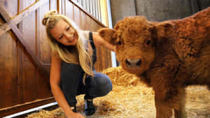 Imágenes de vacas lindas