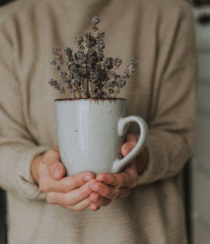 Fondo de pantalla de taza con flores de lavanda secas sostenida por manos — Galaxy Z Fold Fondos de pantalla