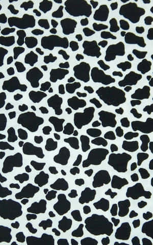 Vaca iPhone — Tecno Megapad 11 Fondos de pantalla