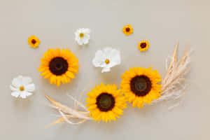 Imágenes florales — Floral Fondos de pantalla