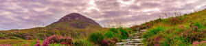 Fondo de naturaleza 4K — Naturaleza 4K Fondos de pantalla