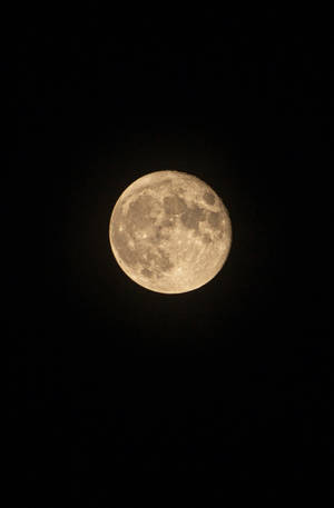 Luna brillando intensamente durante la noche mostrando sus cráteres en un cielo negro de medianoche. Luna llena. — Luna Fondos de pantalla