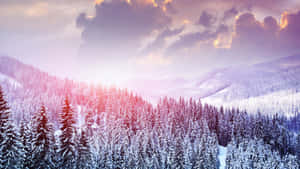 Imágenes de estética invernal — Estética de nieve Fondos de pantalla