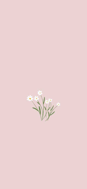 Primavera Minimalista — Galaxia A Fondos de pantalla