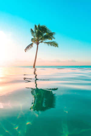 Imágenes tropicales — Vivo Pad Fondos de pantalla