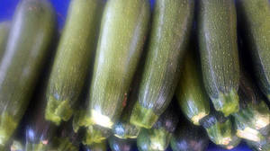 Variedad de Calabacín Baby Marrow