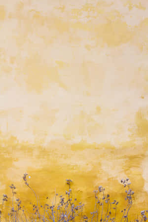Amarillo Estético — Estético Amarillo Fondos de pantalla