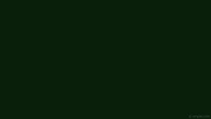 Verde liso oscuro