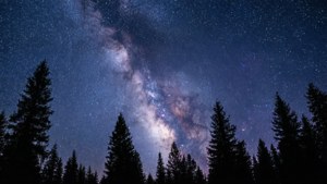Un cielo nocturno estrellado con la Vía Láctea sobre la silueta de un bosque de pinos. — Vista del cielo Fondos de pantalla