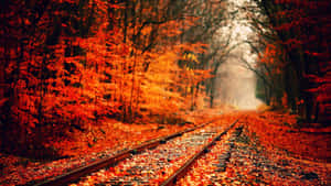 Fondo de estética otoñal — Estética otoño Fondos de pantalla