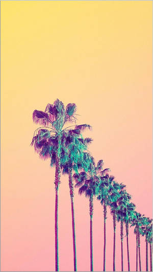 Fondo de pantalla de arte creativo de palmeras alineadas sobre un fondo naranja.