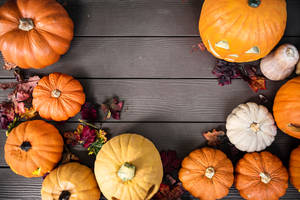 Fondo de Pantalla de Otoño en Plano Cenital — Otoño lindo Fondos de pantalla