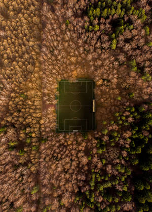 Fondo de pantalla de vista aérea de campo de fútbol rodeado de árboles.