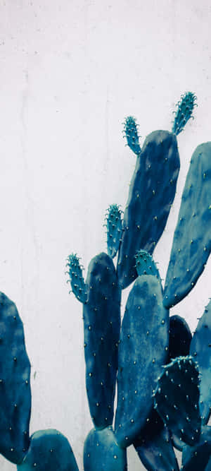 1440x3200 — IQOO Fondos de pantalla
