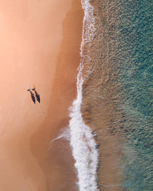 Fondo de pantalla Vista Aérea Playa Bondi Australia — iPhone 7 Fondos de pantalla