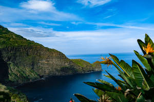 Fondo de pantalla de vista al océano desde la Fortaleza de Santana — Vista al océano Fondos de pantalla