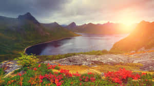5120x2880 — 5120x2880 Fondos de pantalla