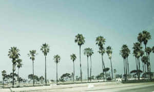 Escritorio de Tumblr California — Estética tumblr Fondos de pantalla