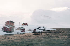 Imágenes de estética nevada — Estética de nieve Fondos de pantalla
