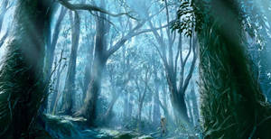 Vista de bosque animado fondo de pantalla — Vista del bosque Fondos de pantalla