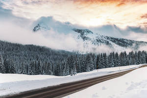 Fondo de pantalla de vista de camino invernal