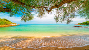 Escritorio de pantalla completa de playa