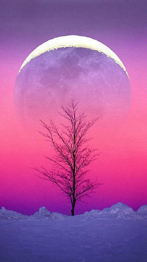 Fondo de pantalla de vista del cielo con luna — Luna estética Fondos de pantalla